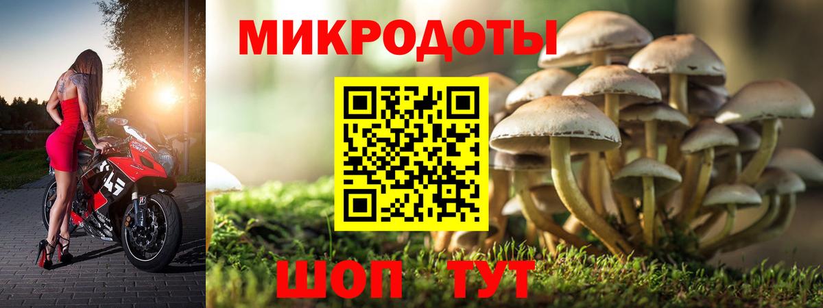 даркнет сайт  Псилоцибиновые грибы Magic Shrooms  Вход с VPN  Ирбит 